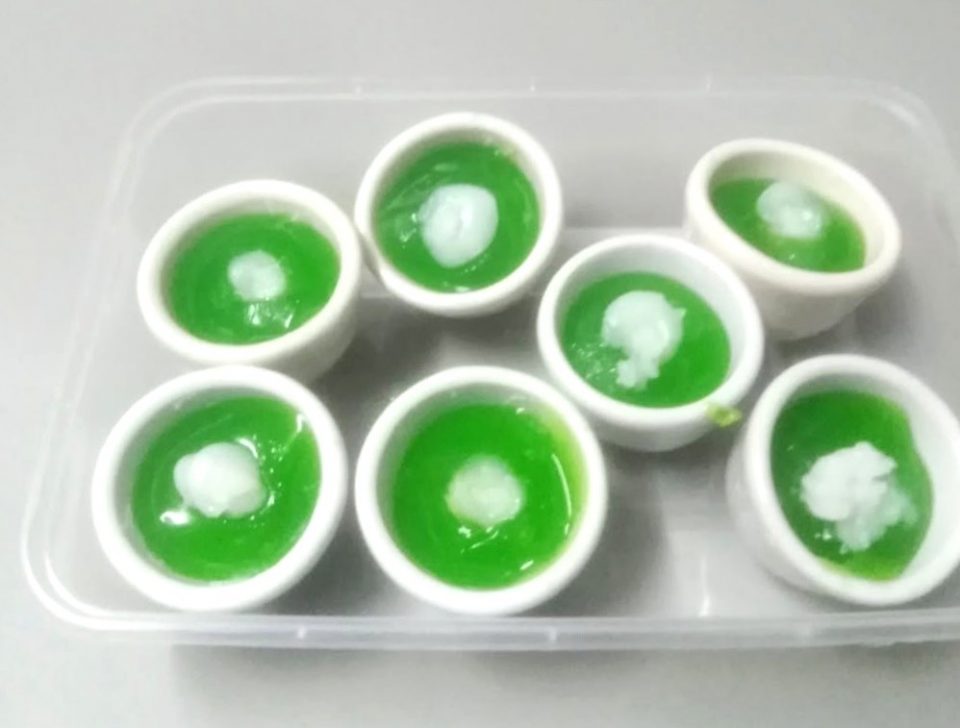 ขนมลืมกลืนโบราณ ทำง่าย อร่อยสมชื่อ 2 486433436 1074991681335455 6146460582580393267 n